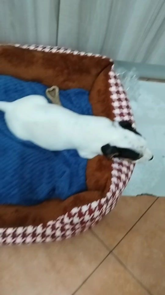 TikTok video thumbnail by v_eronika64