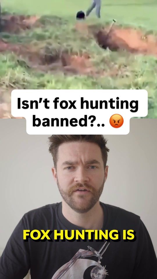 TikTok video thumbnail by protectthewild_