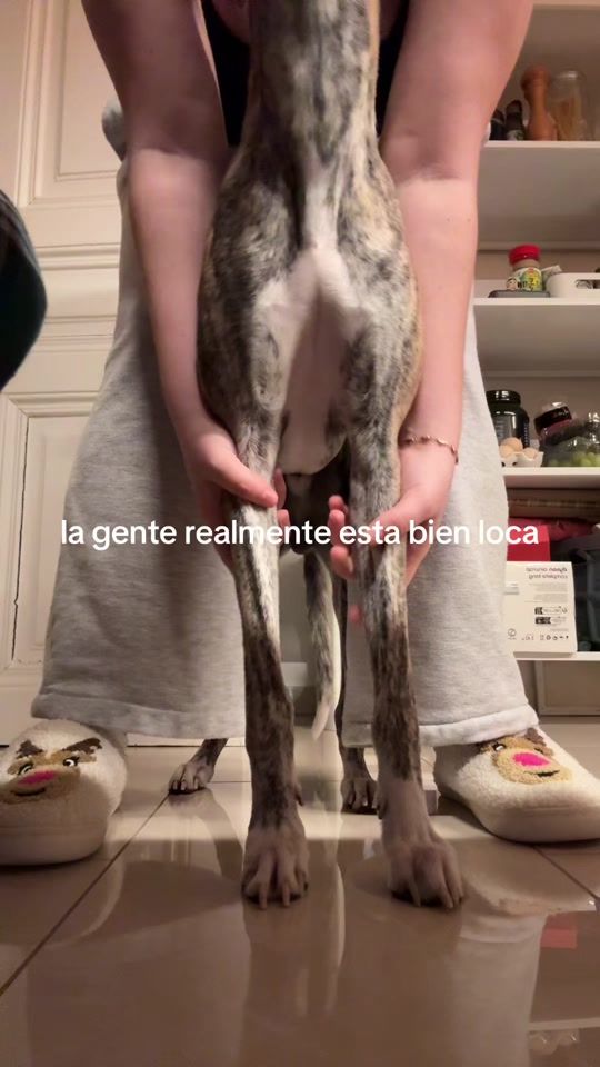 TikTok video thumbnail by launetzer