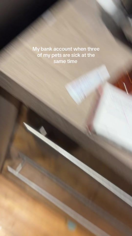 TikTok video thumbnail by the.lucky.thirteen