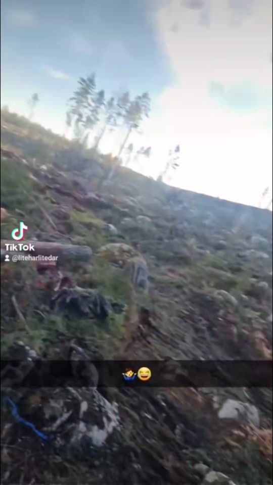 TikTok video thumbnail by liteharlitedar
