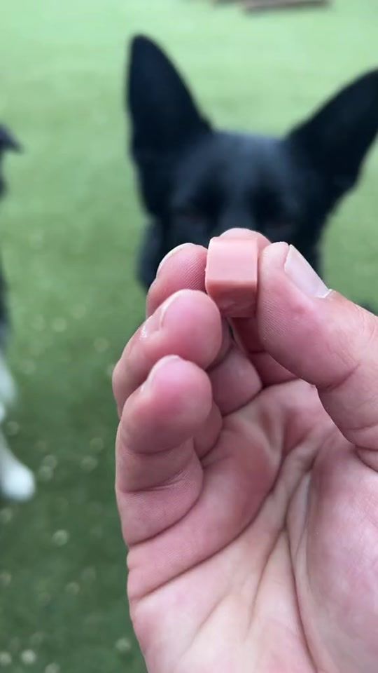 TikTok video thumbnail by danipardos