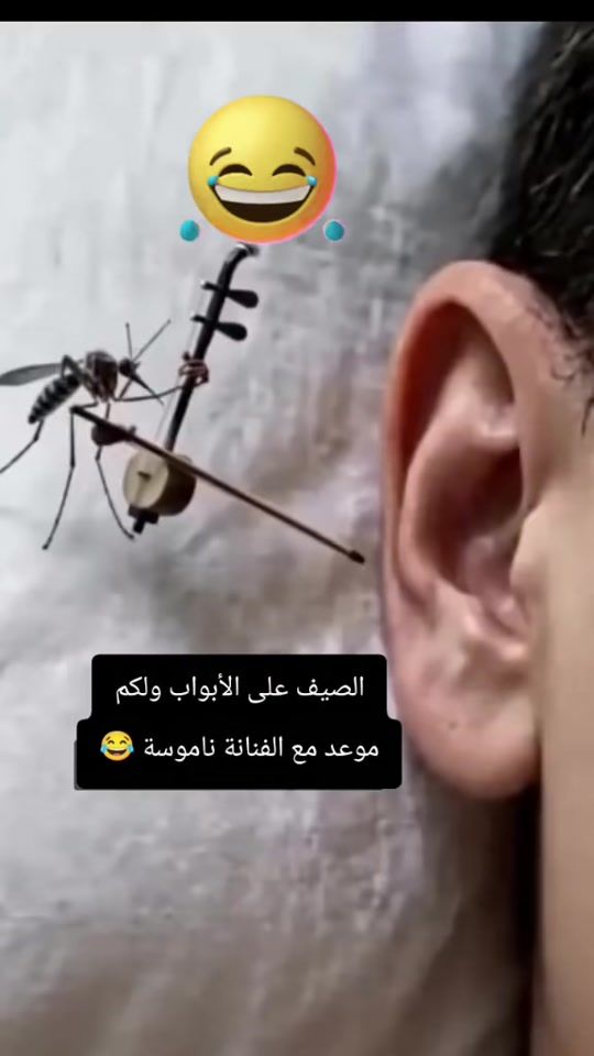 TikTok video thumbnail by tajine.marocain