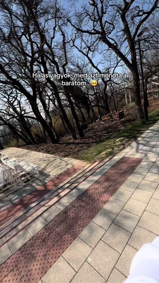 TikTok video thumbnail by monddelvelunk