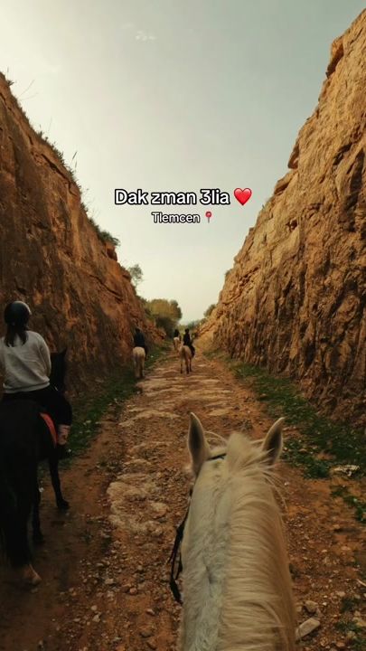 TikTok video thumbnail by karimbeladjemi