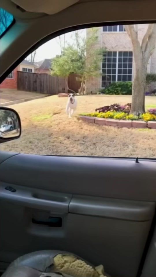 TikTok video thumbnail by carppkemadnes