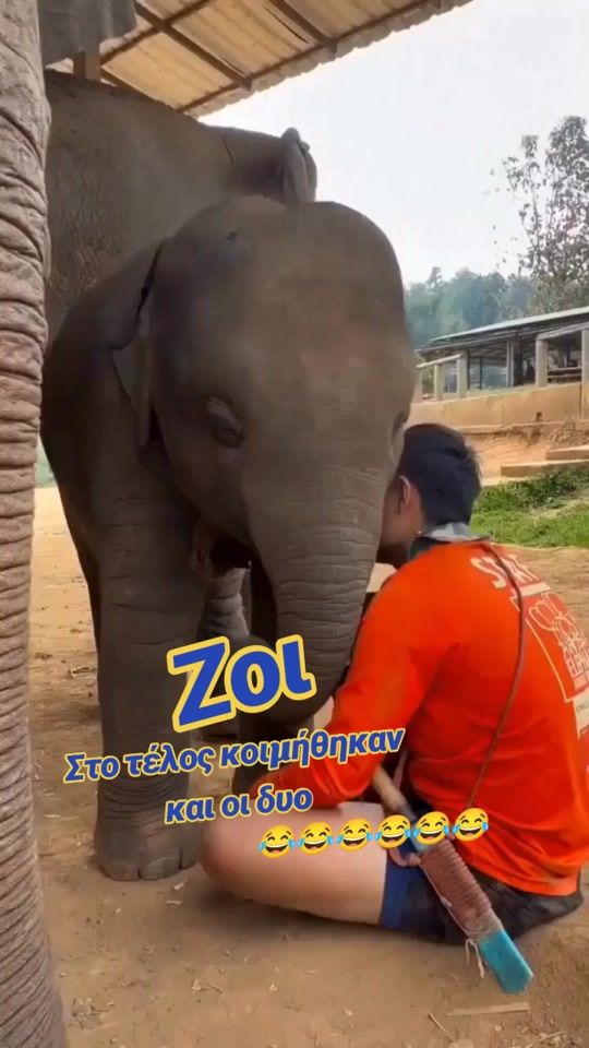 TikTok video thumbnail by zoh.__.m