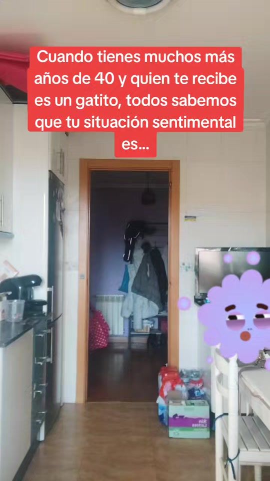 TikTok video thumbnail by patricinina