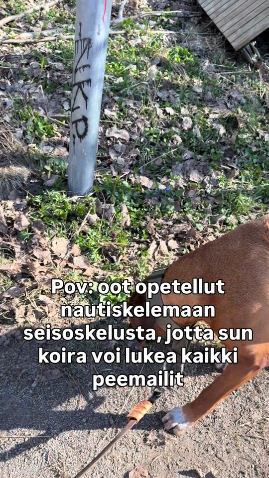 TikTok video thumbnail by henriikkaronkkonen