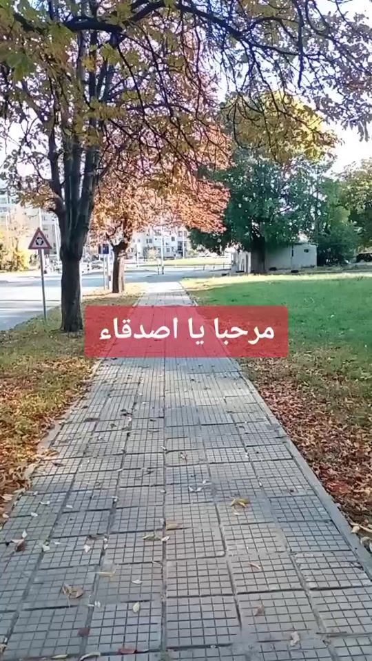 TikTok video thumbnail by bulgarian.language