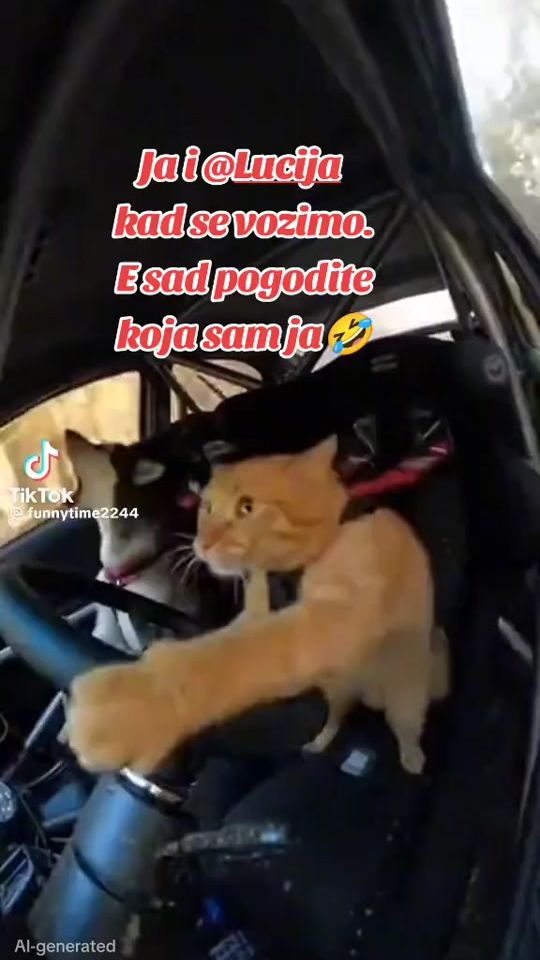 TikTok video thumbnail by angel_lone7