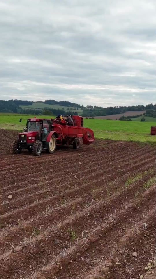 TikTok video thumbnail by pv_agro