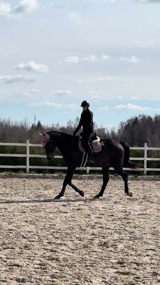 TikTok video thumbnail by miaaa.equestrian