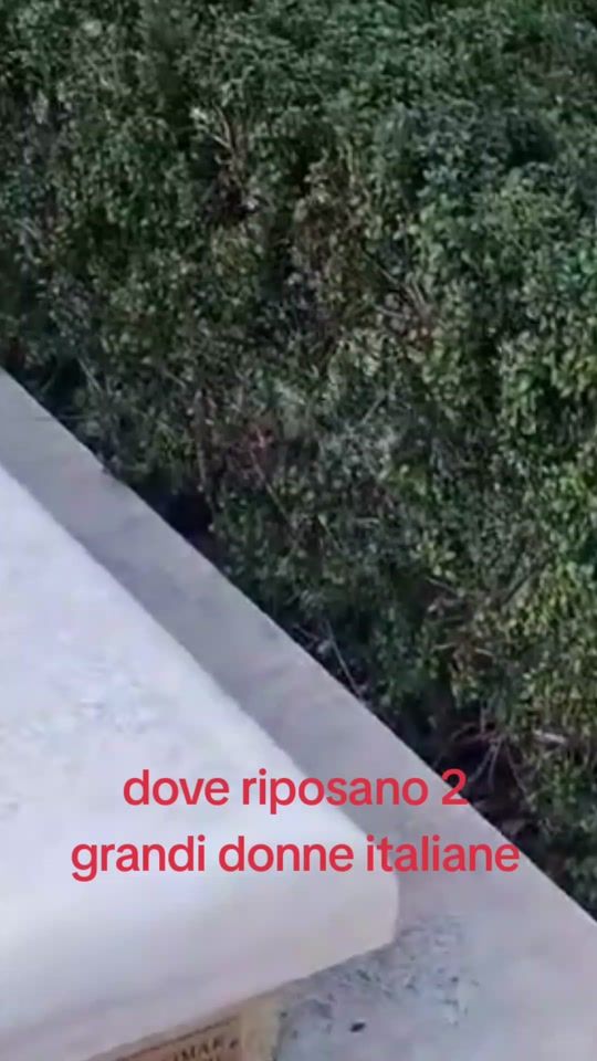 TikTok video thumbnail by alfiotrichini