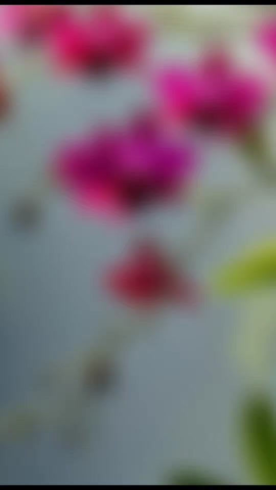 TikTok video thumbnail by birute411