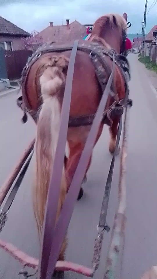 TikTok video thumbnail by bano.csabi.b152