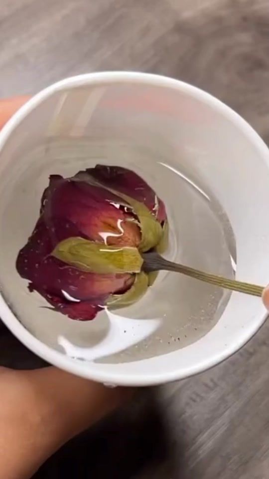 TikTok video thumbnail by theresinqueen22