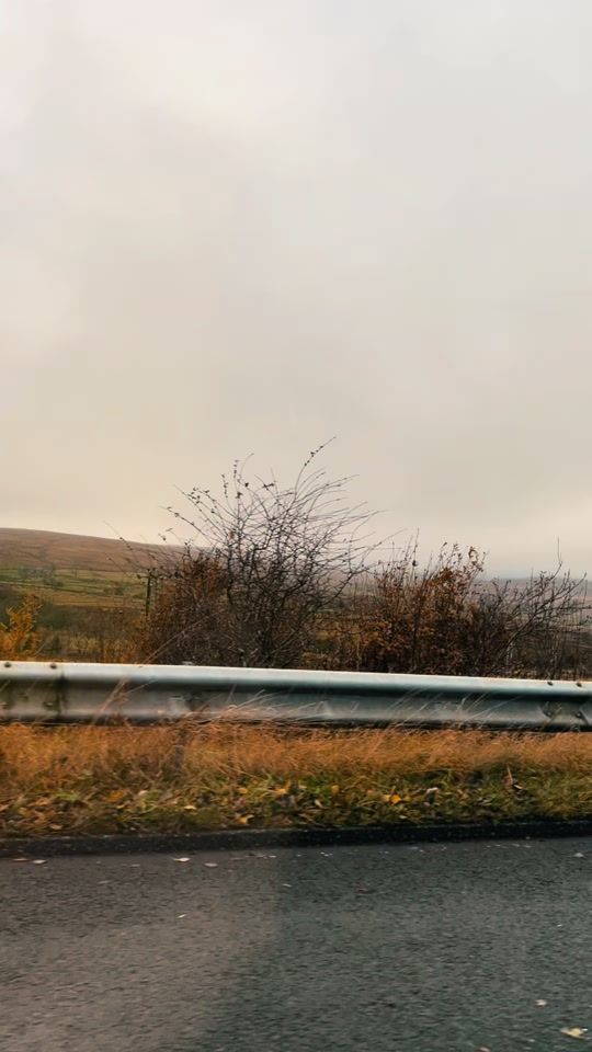 TikTok video thumbnail by tiktok.soulfulnature