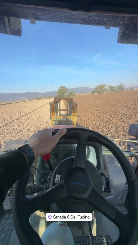 TikTok video thumbnail by cherubinifarm