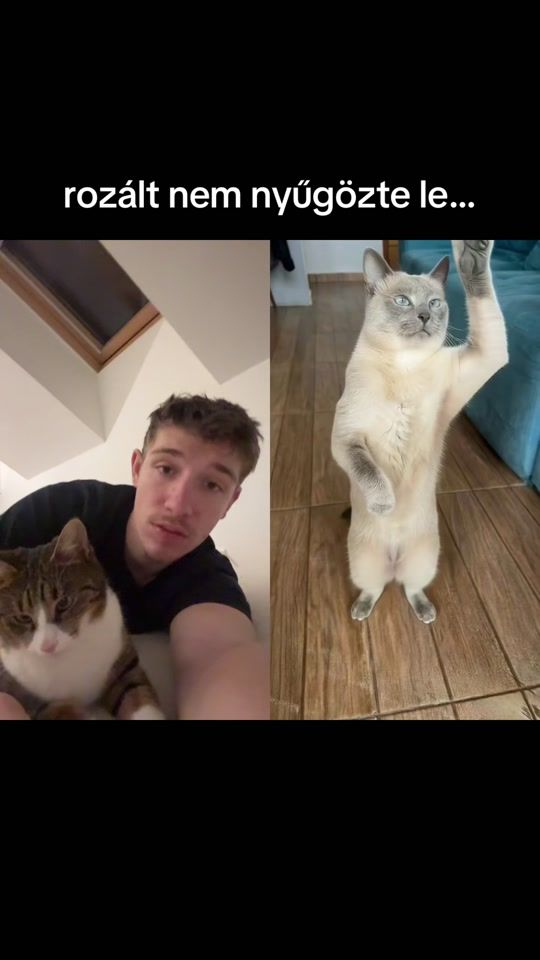 TikTok video thumbnail by user2373829201