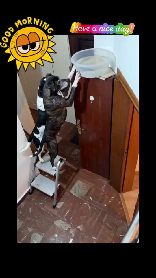 TikTok video thumbnail by valia.kara3
