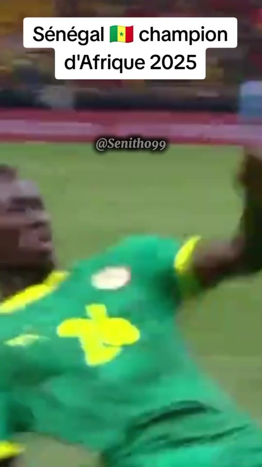TikTok video thumbnail by senitho.99