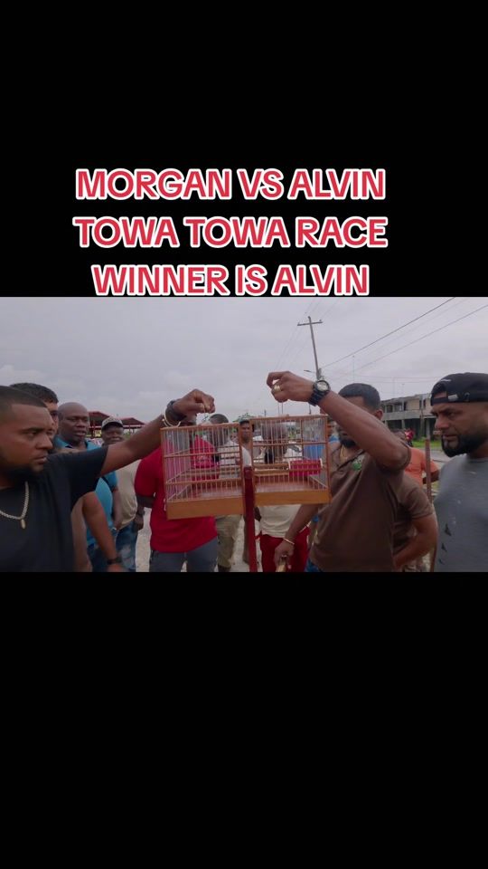 TikTok video thumbnail by guyanabirds
