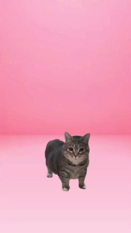 TikTok video thumbnail by liawolas6