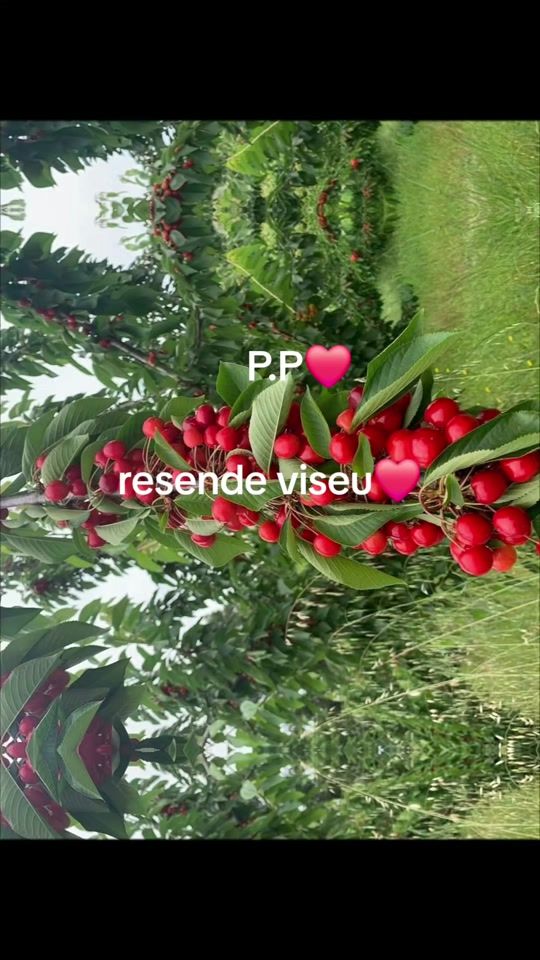 TikTok video thumbnail by preciosapinto505