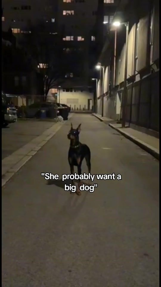 TikTok video thumbnail by urfavmedus