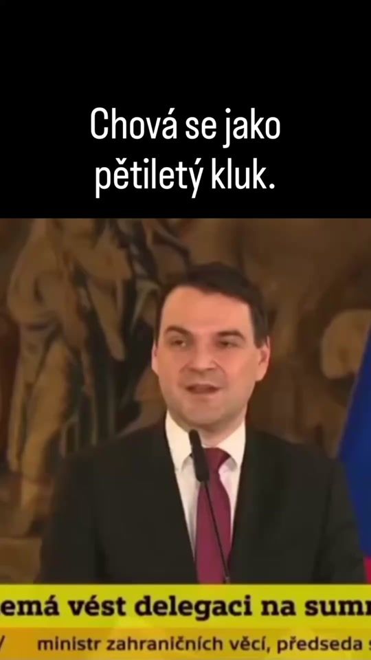 TikTok video thumbnail by myslenky.cechu