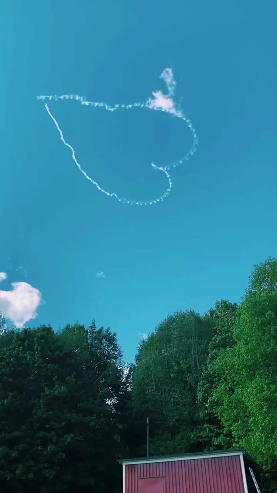 TikTok video thumbnail by general_11_