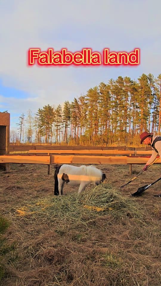 TikTok video thumbnail by aigarsklavs