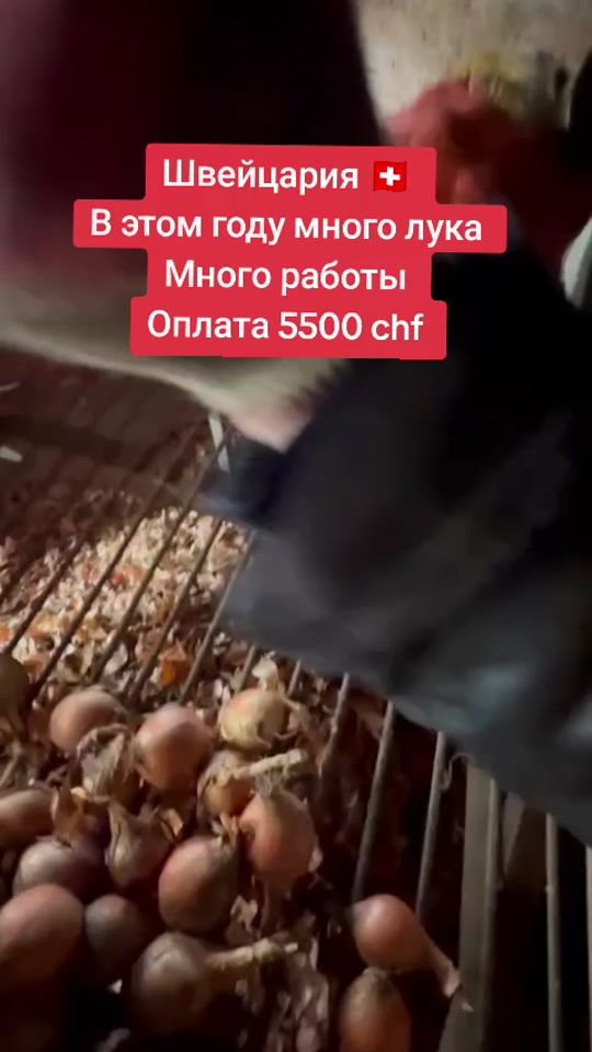 TikTok video thumbnail by rabbota25