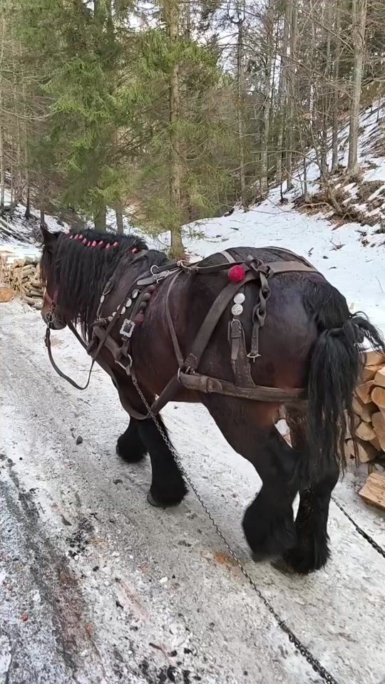 TikTok video thumbnail by popacatalin18
