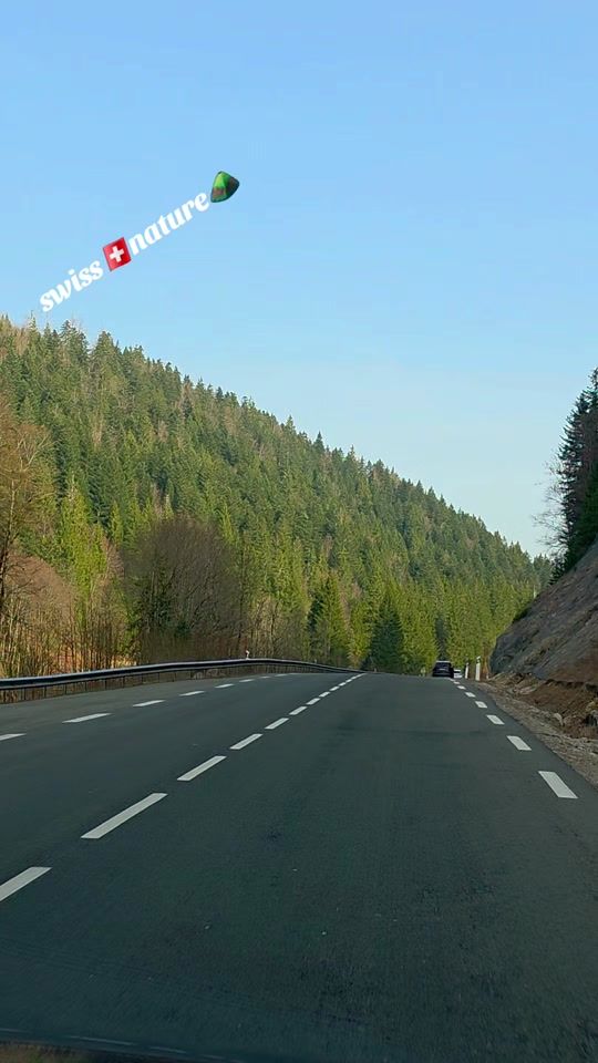 TikTok video thumbnail by swissnature08