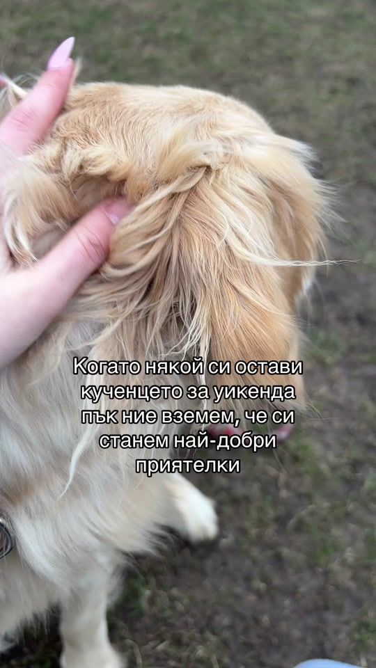 TikTok video thumbnail by ivet_yordanova