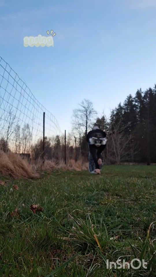 TikTok video thumbnail by sprinklyke1