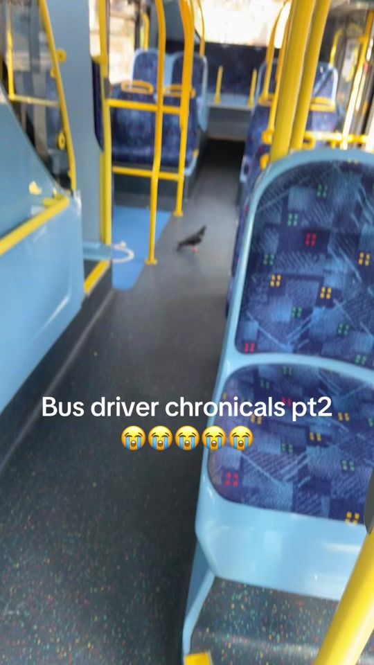 TikTok video thumbnail by _dk27s