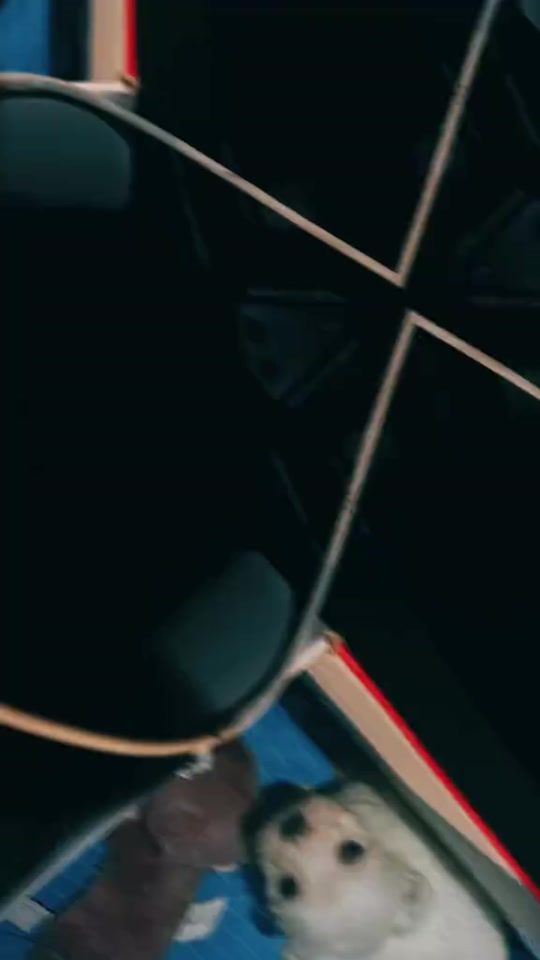 TikTok video thumbnail by hogytessek