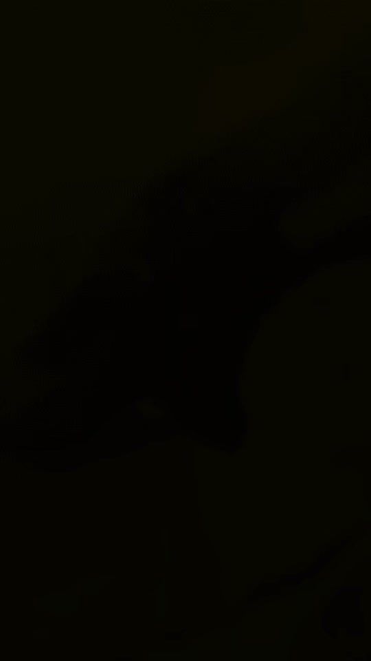 TikTok video thumbnail by 013356800k