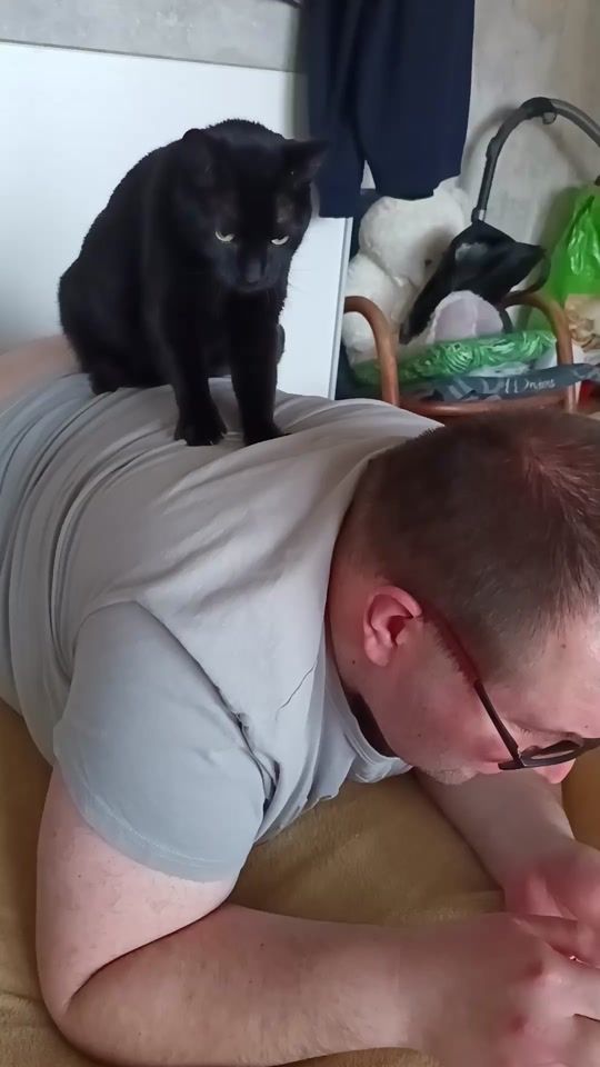 TikTok video thumbnail by freya20228