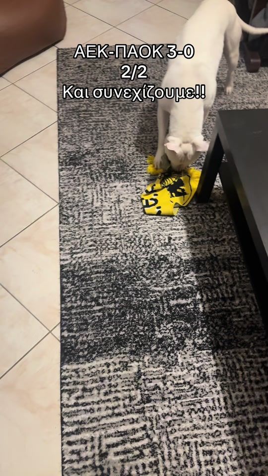 TikTok video thumbnail by atlas_alex_