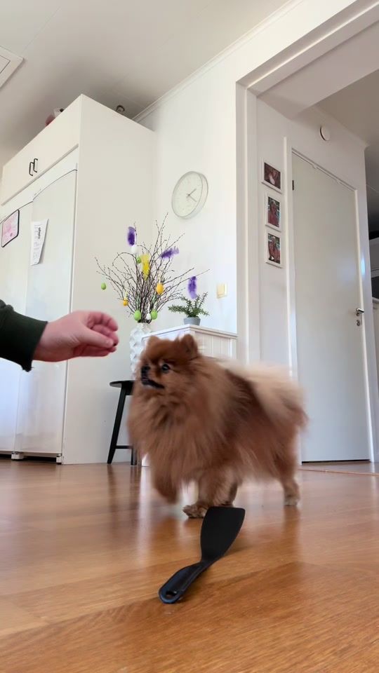 TikTok video thumbnail by elin.osterberg04