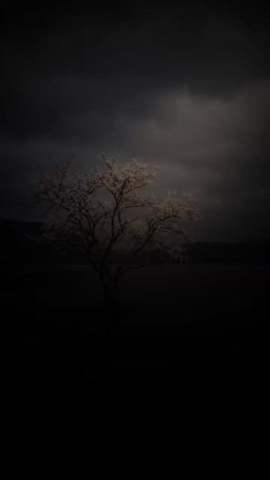 TikTok video thumbnail by oq.dunyo_