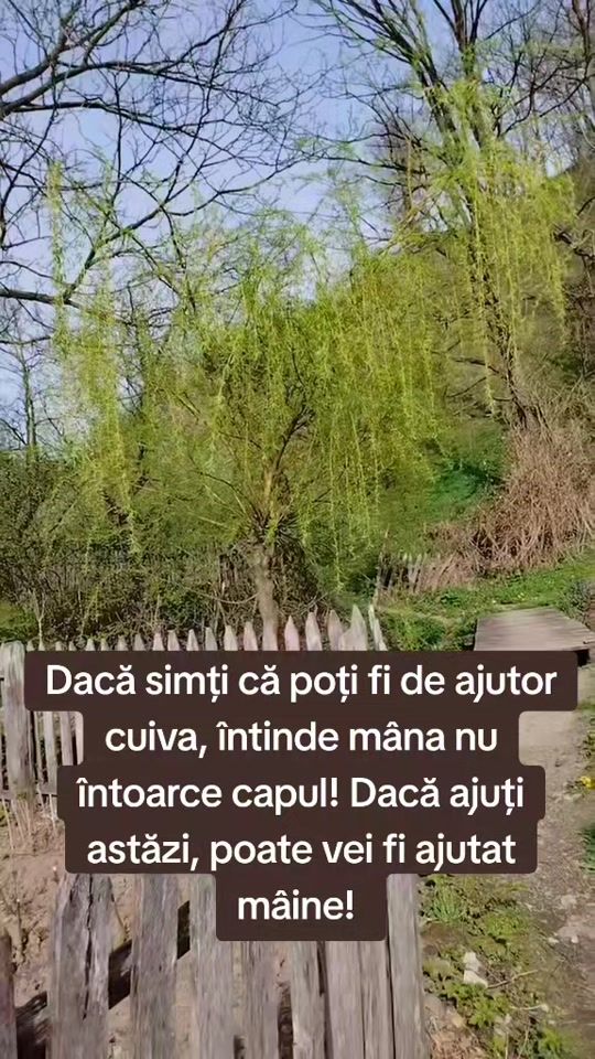 TikTok video thumbnail by murdeala.nuta
