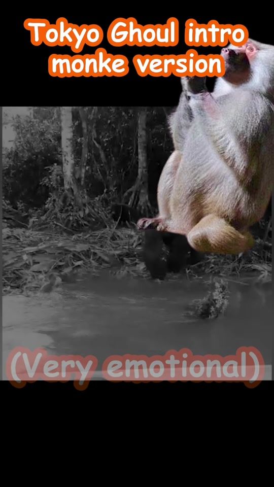 TikTok video thumbnail by omb_wants_pineapple