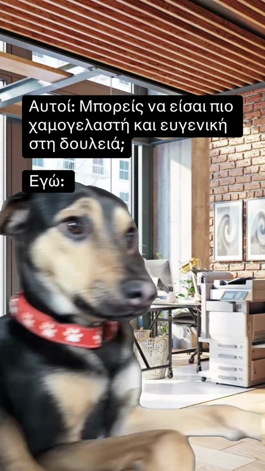 TikTok video thumbnail by _sofiapal_