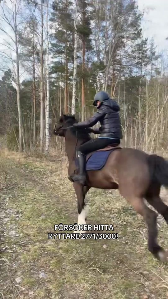 TikTok video thumbnail by hittaryttare.se