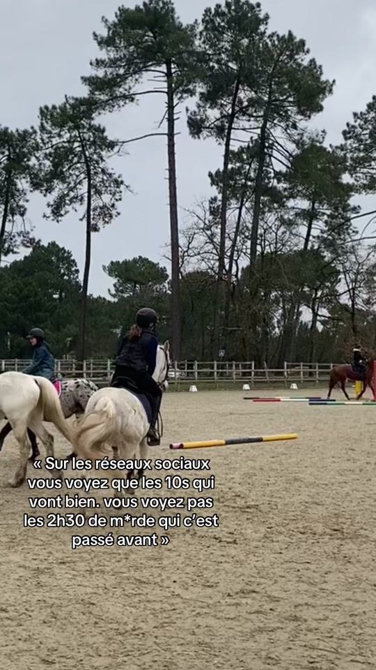 TikTok video thumbnail by _.collab._.equitation_
